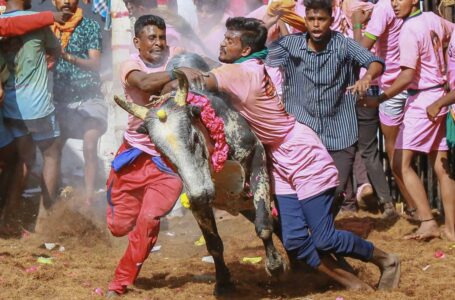 ഉയിർ കൊടുത്തും പ്രക്ഷോഭം നടത്തിയും നിയമപോരാട്ടത്തിനൊടുവിൽ തമിഴ് മക്കൾ ജീവിതത്തിന്റെ  ഭാഗമായി നിലനിർത്തിയ “ജല്ലിക്കെട്ട്” മത്സരങ്ങൾക്ക് തുടക്കമായി…